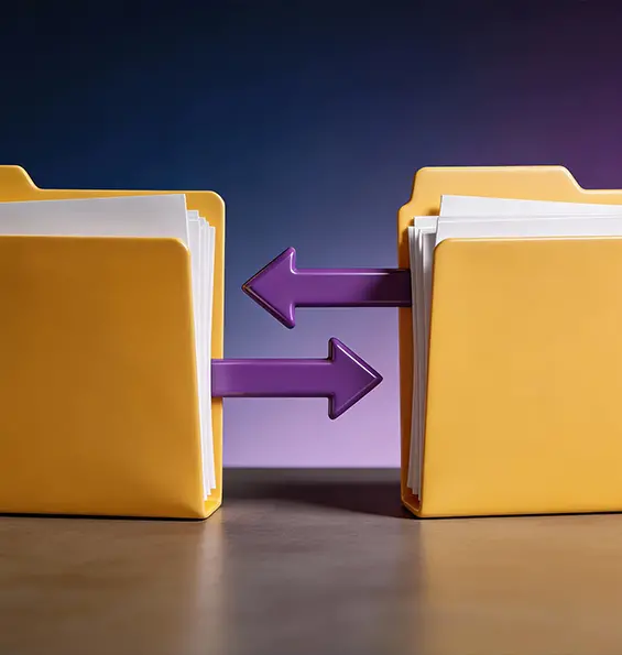 Seo Migration Services